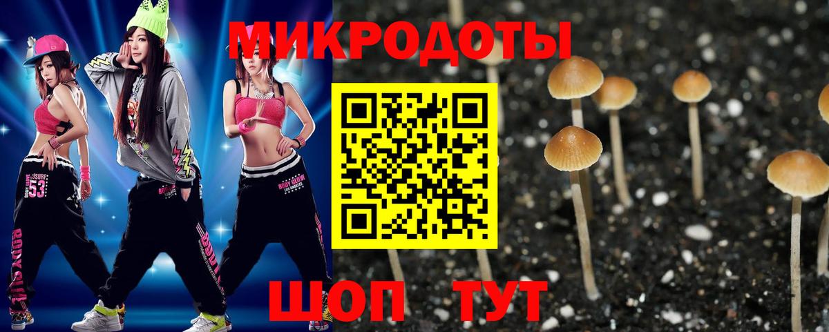магазин продажи   Вход с VPN  Рыбинск  Псилоцибиновые грибы MAGIC MUSHROOMS  Галлюциногенные грибы Psilocybine cubensis 