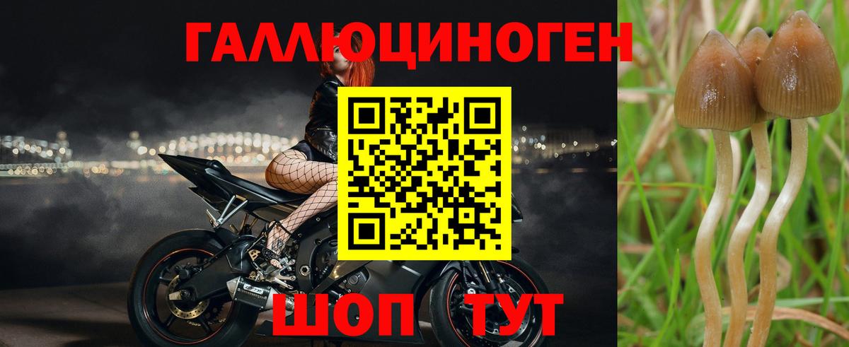Псилоцибиновые грибы Magic Shrooms Рыбинск